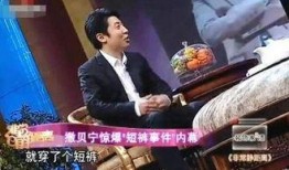 撒贝宁爆料央视节目视频,视频内容引发热议