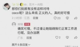 甄妮爆料好声音视频,独家爆料震撼视频内容