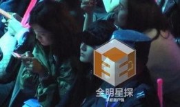 独家爆料绯闻视频,绯闻视频背后的惊人真相