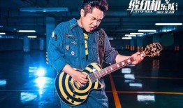 大鹏演唱会爆料最新消息,精彩瞬间与幕后故事大揭秘