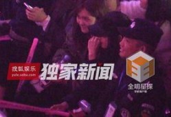 独家爆料绯闻视频,绯闻视频背后的惊人真相