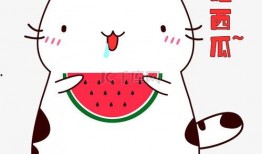 吃瓜可爱视频素材下载免费,免费下载吃瓜可爱视频素材，轻松打造欢乐瞬间