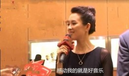 陈珺爆料张艺谋视频全集,揭秘幕后真相与争议