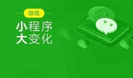 小程序今日热门爆料文案,小程序爆料风云录