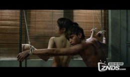 野狼与玛丽在线观看,激情燃烧的草原爱情传奇