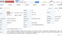 极氪厂家爆料最新消息,揭秘厂家最新爆料，未来智能出行新篇章即将开启