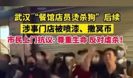 武汉爆料视频大全,揭秘城市生活百态