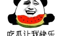 娱乐吃瓜酱你养过什么小众的,揭秘我那些不为人知的小众宠物