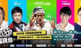 疯狂电视频道在线观看,畅享无限娱乐盛宴