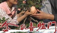 在线观看喜盈门,揭秘现代家庭生活的温馨与挑战
