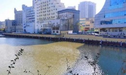 丹东凤城爆料最新消息,揭秘事件真相，引发社会关注