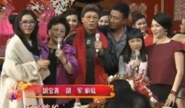 费翔春晚爆料最新消息,揭秘幕后精彩瞬间与幕后故事