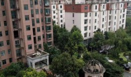 樟树伟才大楼爆料视频,揭秘神秘事件背后的真相