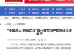 衡水女网红爆料新闻报道,揭秘背后惊人真相