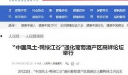衡水女网红爆料新闻报道,揭秘背后惊人真相