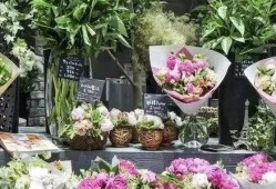 免费吃瓜花店,夏日里的甜蜜诱惑与温馨故事