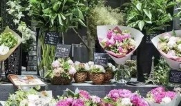 免费吃瓜花店,夏日里的甜蜜诱惑与温馨故事