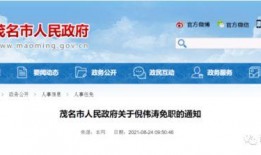 茂名头条最新爆料,揭秘重大事件背后真相！