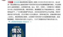 平山爆料最新事件新闻,揭秘事件背后惊人真相