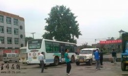 君安驾校新闻爆料视频,揭秘驾校内部实况