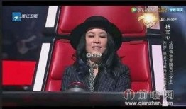 最新爆料那英过往视频