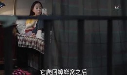 小沈姐姐维密圈爆料视频,小沈姐姐揭秘维密幕后故事