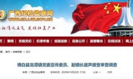 广西最新爆料新闻网,聚焦热点事件，揭秘幕后真相
