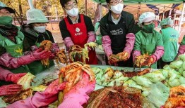 老挝酸菜爆料视频完整版,传统美味背后的制作工艺与风味体验