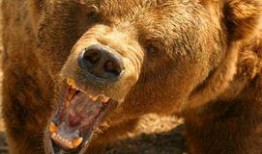 网红电次熊吃瓜在线,揭秘网红界的幕后故事