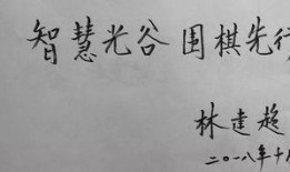 父子棋王在线观看,传承与对决的巅峰对决