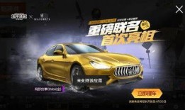 玛莎返厂最新爆料视频,最新爆料视频深度解析