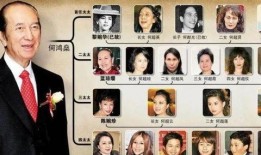 何鸿燊遗产爆料视频,视频爆料揭示巨额遗产分配之谜