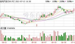 极氪厂家爆料最新消息,揭秘厂家最新爆料，未来智能出行新篇章即将开启