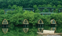 邳州新闻爆料电话查询网,一键获取最新资讯，畅享便捷服务