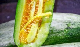 免费网红吃瓜视频,揭秘娱乐圈幕后真相