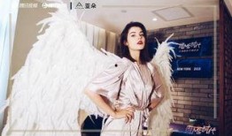 小沈姐姐维密圈爆料视频,小沈姐姐揭秘维密幕后故事