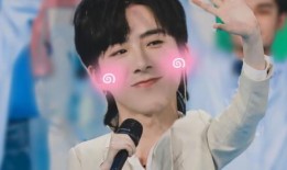 博主爆料刘宇宁视频下载,刘宇宁热门视频下载方法大公开