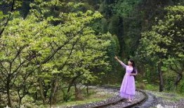 风景哥爆料视频,视频中的绝美风光与背后故事