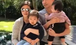 汪小菲离婚爆料视频大全,揭秘婚姻内幕与情感纠葛