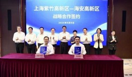 海安新闻最新爆料,重大事件背后真相揭晓