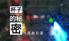 甘孜州酒店爆料视频播放,揭秘当地住宿环境与服务