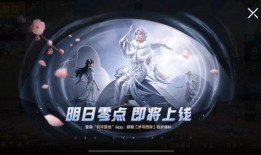 艺星新皮肤爆料视频大全,视觉盛宴，尽在全新皮肤视频大全