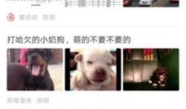新闻爆料生活搞笑小视频,新闻爆料中的搞笑小视频集锦