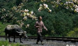 风景哥爆料视频,视频中的绝美风光与背后故事